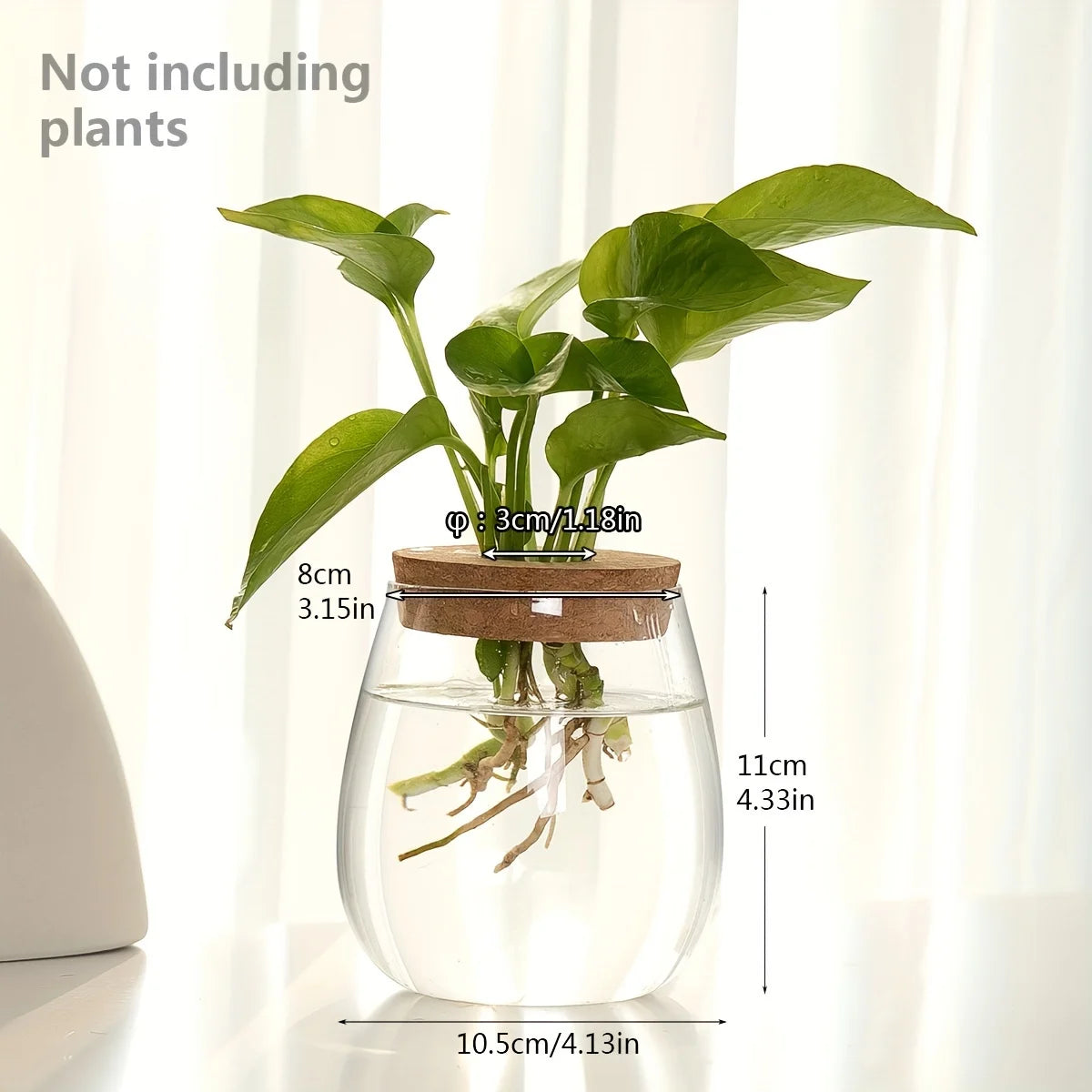 1pc, Glass Planter Tabletop Hydroponic Plant