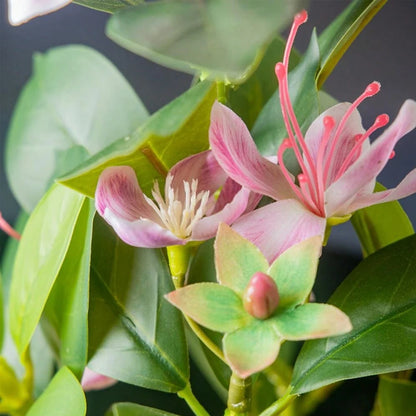 21-40cm Artificial Azaleas Plants Fake Rubber Tree