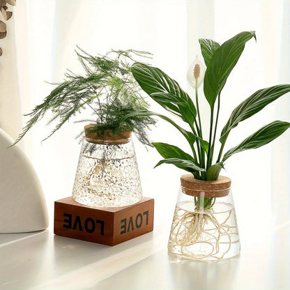 1pc, Glass Planter Tabletop Hydroponic Plant