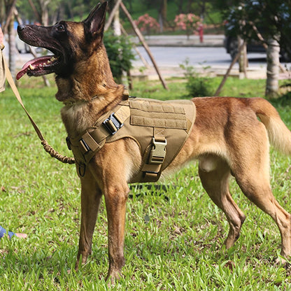Harness Leash Set For Training German Shepard Medium _Large Dogs