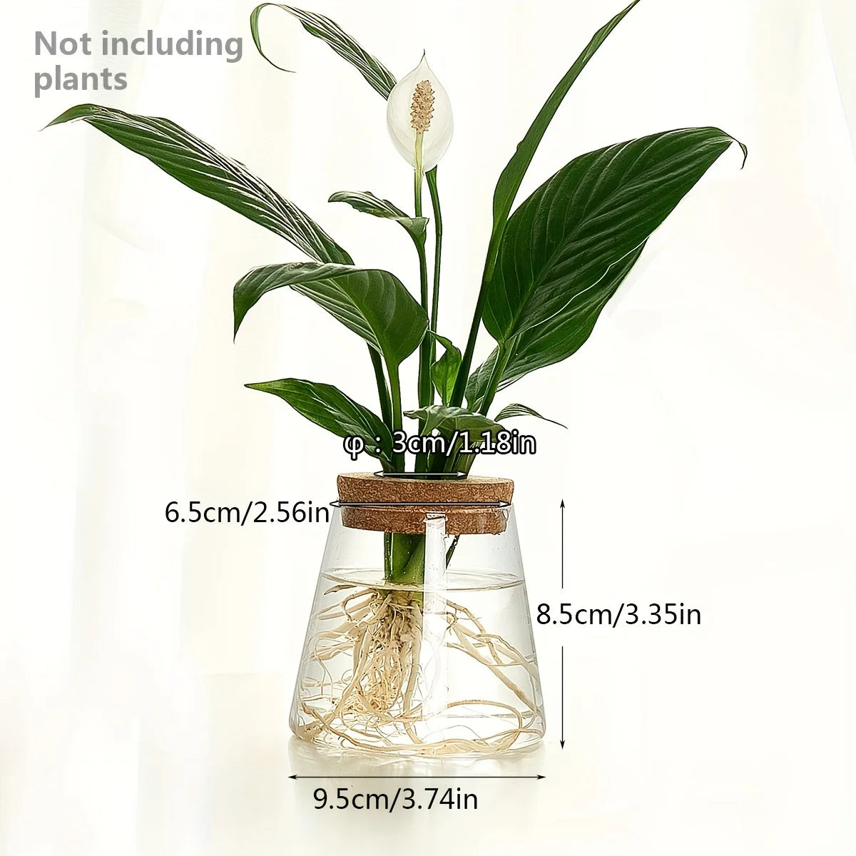 1pc, Glass Planter Tabletop Hydroponic Plant