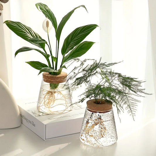 1pc, Glass Planter Tabletop Hydroponic Plant
