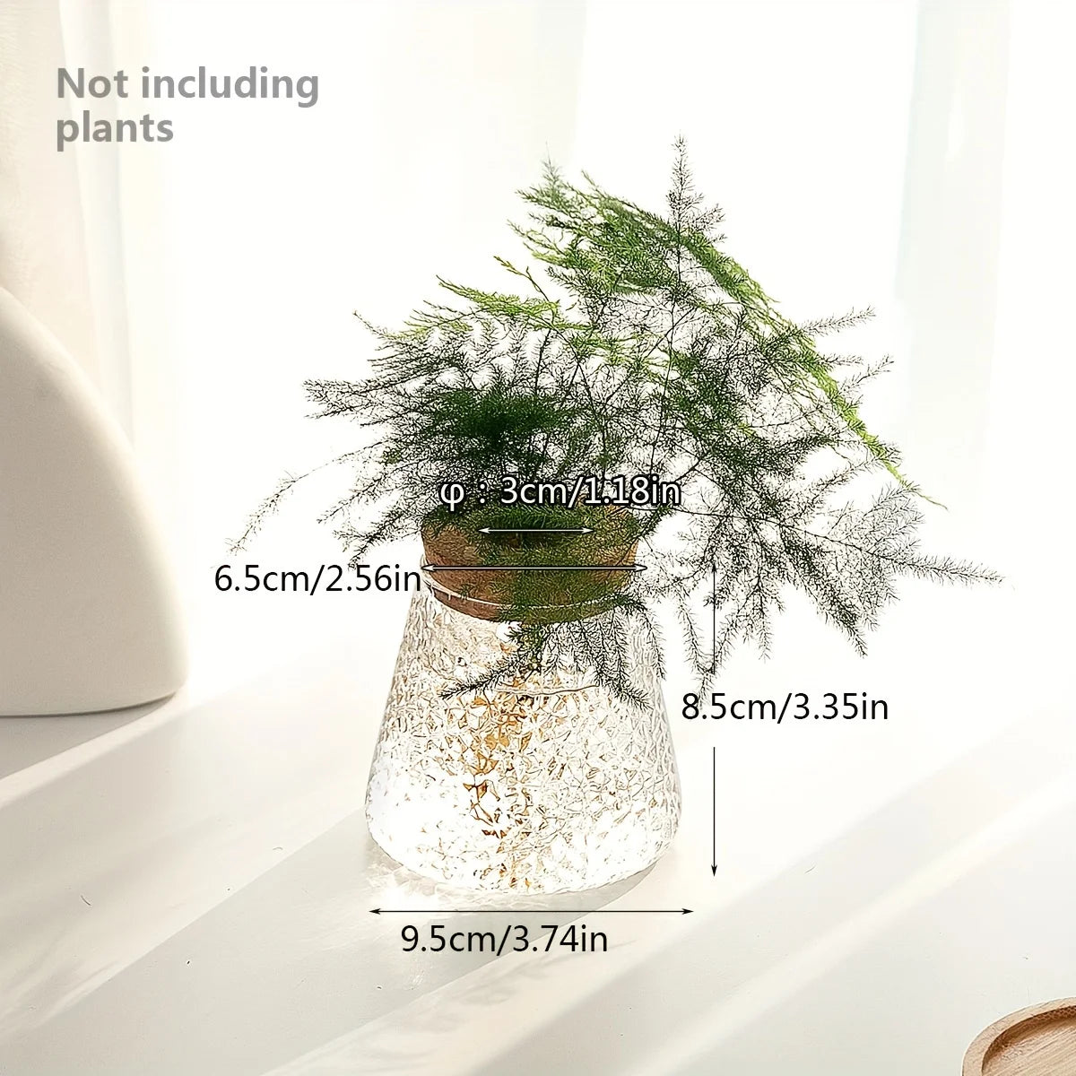 1pc, Glass Planter Tabletop Hydroponic Plant