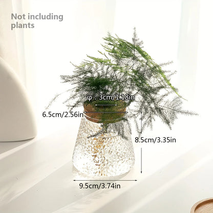 1pc, Glass Planter Tabletop Hydroponic Plant