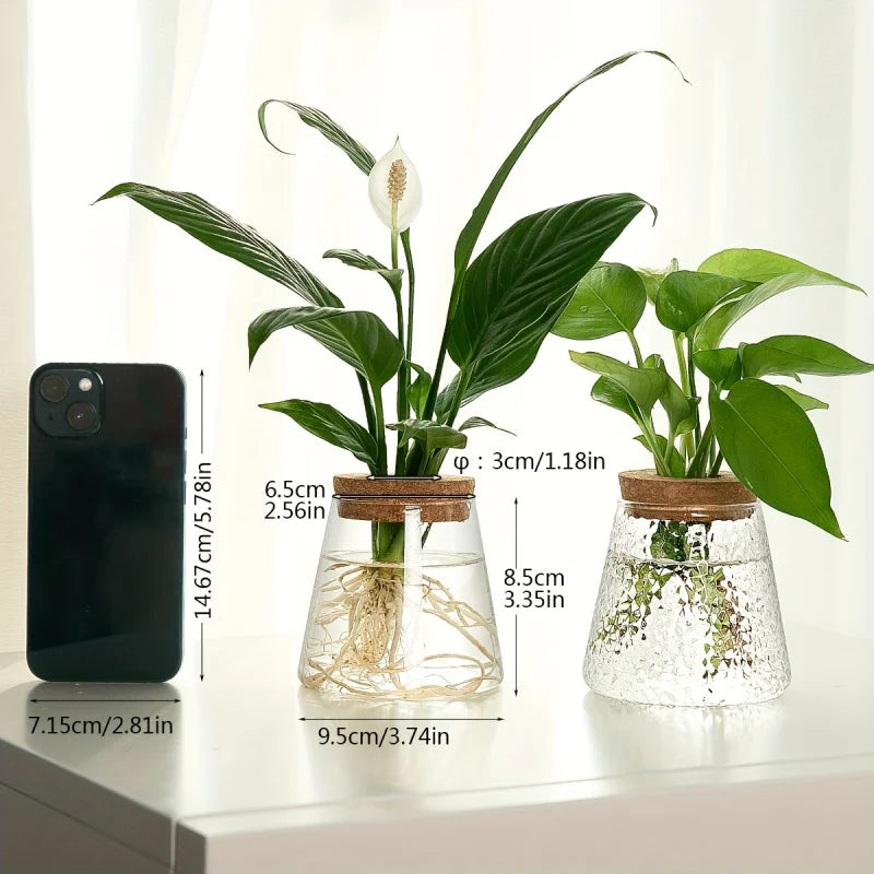 1pc, Glass Planter Tabletop Hydroponic Plant