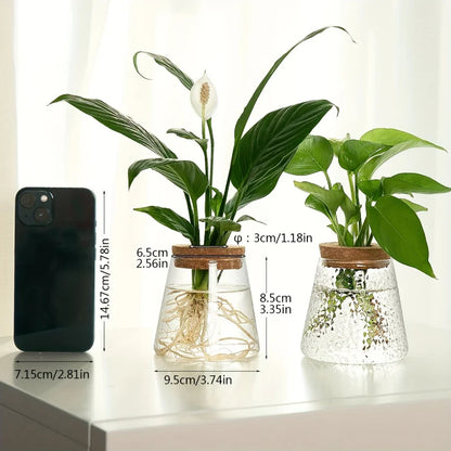 1pc, Glass Planter Tabletop Hydroponic Plant