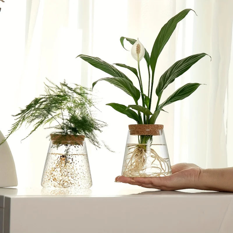 1pc, Glass Planter Tabletop Hydroponic Plant