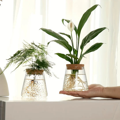 1pc, Glass Planter Tabletop Hydroponic Plant