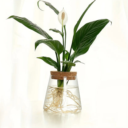 1pc, Glass Planter Tabletop Hydroponic Plant