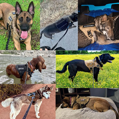Harness Leash Set For Training German Shepard Medium _Large Dogs