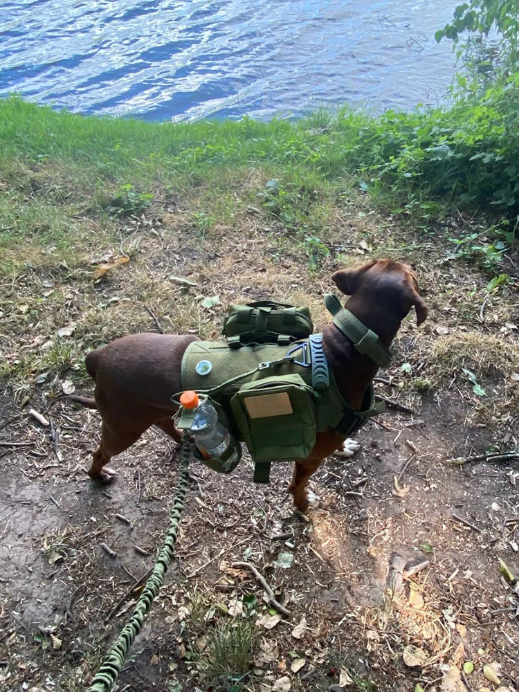Tactical Dog Harness Collar Leash For Medium Large Dogs